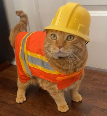 뚝딱뚝딱공사중